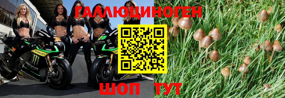 Псилоцибиновые грибы ЛСД Качканар
