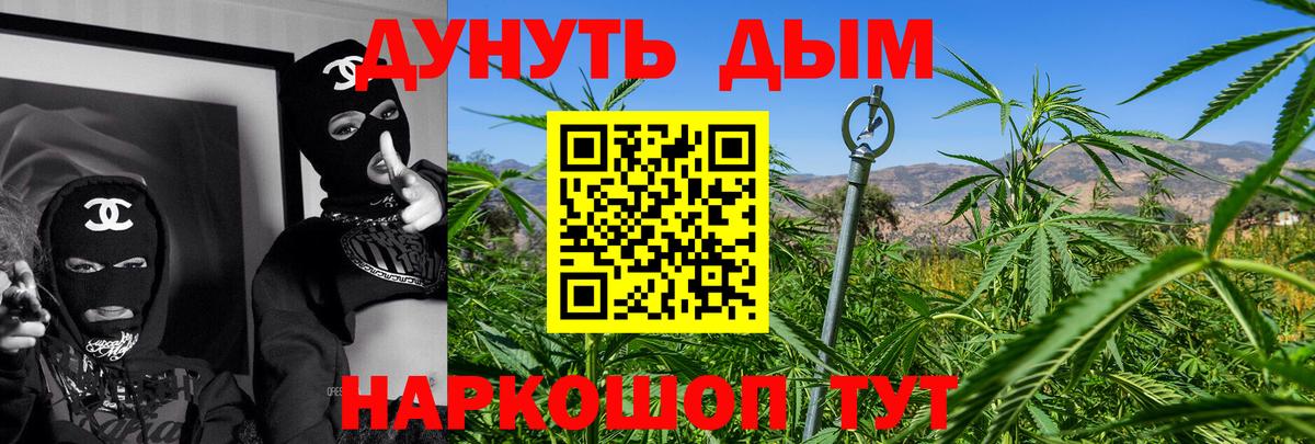 Качканар  Канабис гибрид  Марихуана OG Kush  Бошки Шишки Bruce Banner  Вход с VPN 